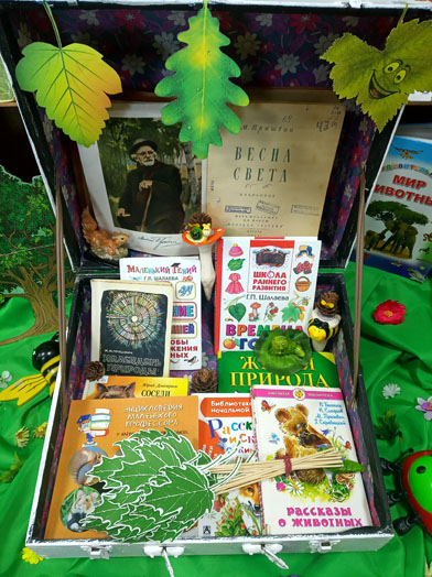 Чемоданчик