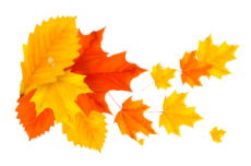 листьяжелтые