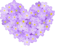 сердце