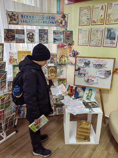 акция