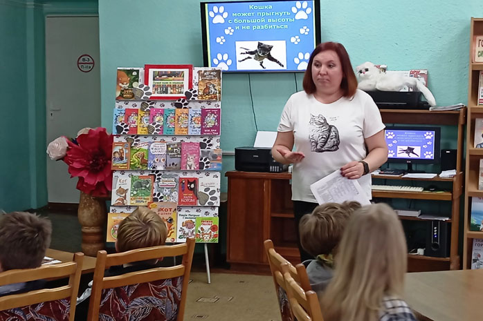 кошачьи истории